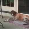 Libby, August 2010