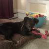 Sophie says she doesn't have enough toys to play with